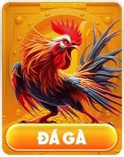 icon đá gà